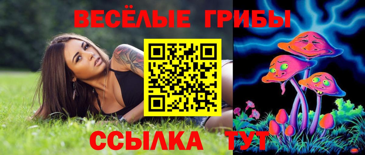 Псилоцибиновые грибы Psilocybine cubensis Звенигород